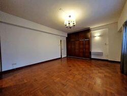 The Cairnhill (D9), Condominium #557841031